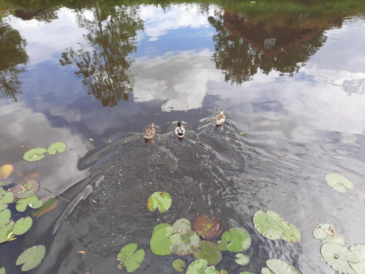 Waterhuis Friesland Oudwoude Ngoại thất bức ảnh